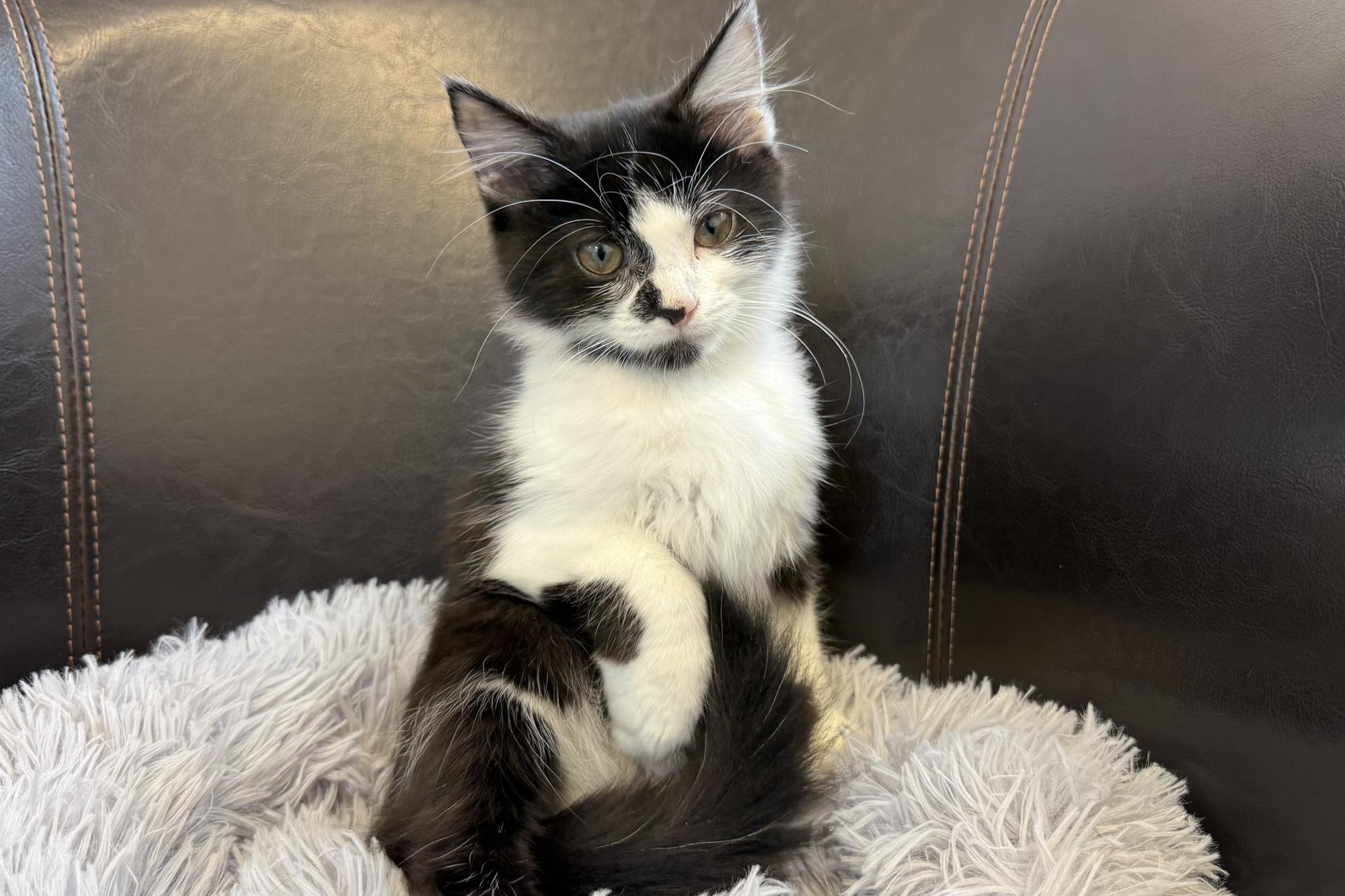 Funding plea for vital charity in Lancaster which helps thousands of animals