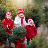 Are you a fan of the fir? Here are 11 Lancashire stockists of real Christmas Trees