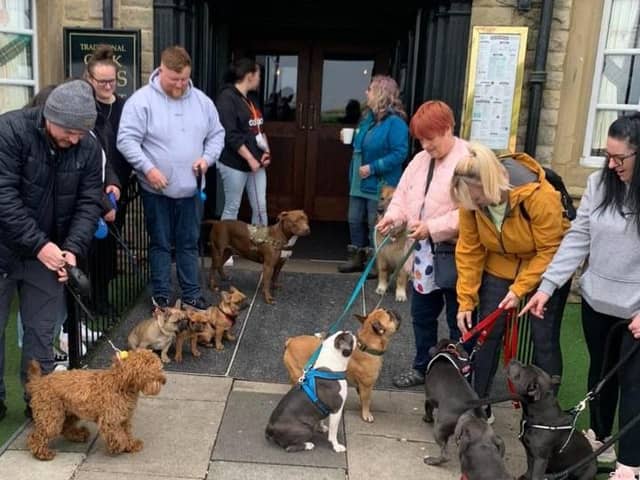 Owners meet up for the first Kings Arms Dog Club