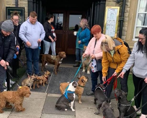 Owners meet up for the first Kings Arms Dog Club