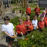 Pupils from Caton Community Primary School in the school garden where they grew vegetables to eat with their school meals.