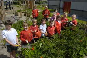 Pupils from Caton Community Primary School in the school garden where they grew vegetables to eat with their school meals.