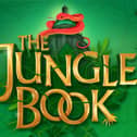 The Dukes Play in the Park this year is The Jungle Book.