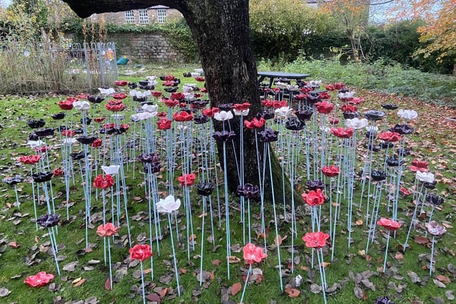 The poppies on display at Lancaster Girls' Grammar School.
