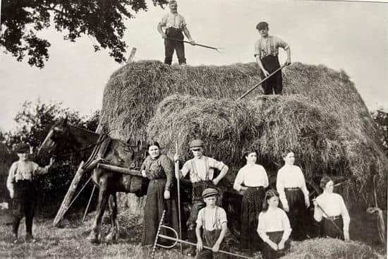 The Moore family haymaking at their farm at Blacko, near Barrowford. Ann Moore later moved to Oak Head Bank Farm in Tatham. Picture courtesy of David Kenyon.