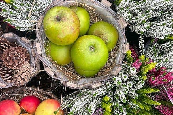 Fall Apple Weekend Apple Weekend family event returns to garden centre near Lancaster