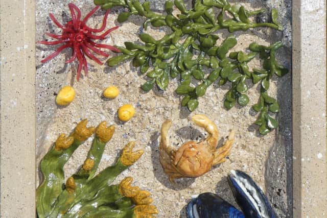 The wildlife of Morecambe Bay is celebrated in a new exhibition at Morecambe library. Photo: Catriona Stamp.