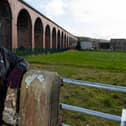 Podcaster Jean Lord under the Whalley Arches on Ridding Lane. Photo: Kelvin Stuttard
