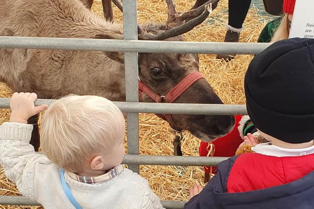 Children enjoyed meeting the reindeer at the Christmas Market.