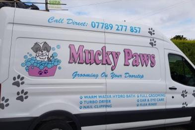 Mobile professional dog grooming in a custom fitted van.