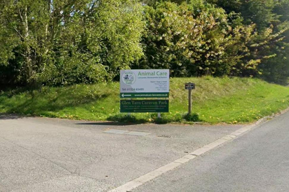 Lancaster animal rescue charity hosting auction and disco night