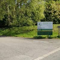 Lancaster animal rescue charity hosting auction and disco night
