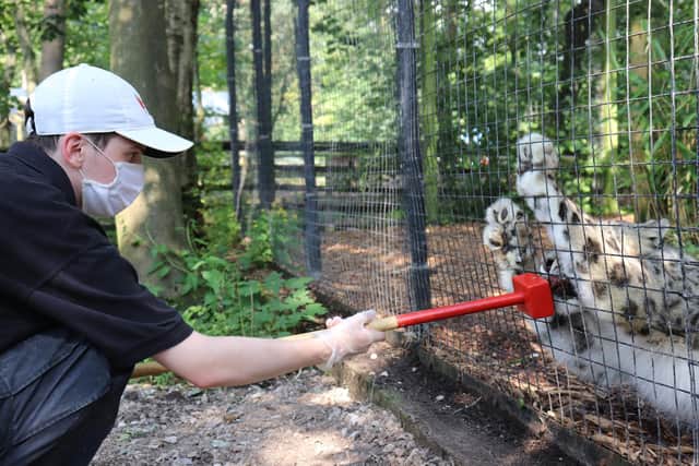 Fancy a go at some hands-on zookeeping?