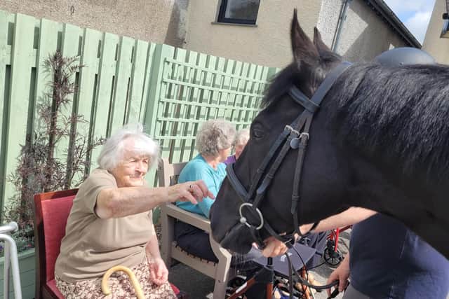 Retired racehorse Bomb Proof visits a care home where residents met him.