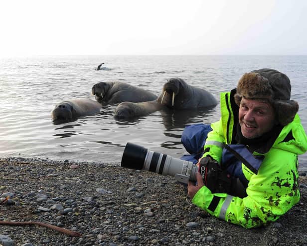 Photographer Doug Allan with three walrus.