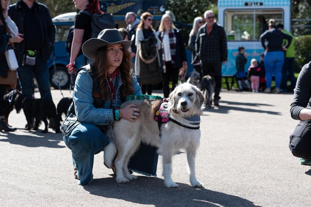 A dog and its owner at the Pups in the Park event in Williamson Park, Lancaster.