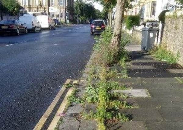 Weeds are terribly overgrown in areas of Morecambe including Balmoral Road.