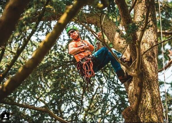 Michael Curwen is competing in the world tree climbing championships in Ohio.