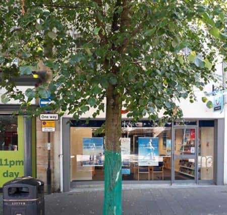 The tree protection added to trees in Market Square