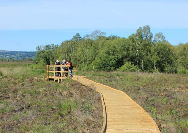 Walk way to osprey viewing area at Foulshaw Moss Nature Reserve. Photo: Cumbria Wildlife Trust.