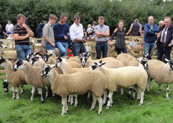 Hornby and District Sheepdog and Sheep Show held on August 21.