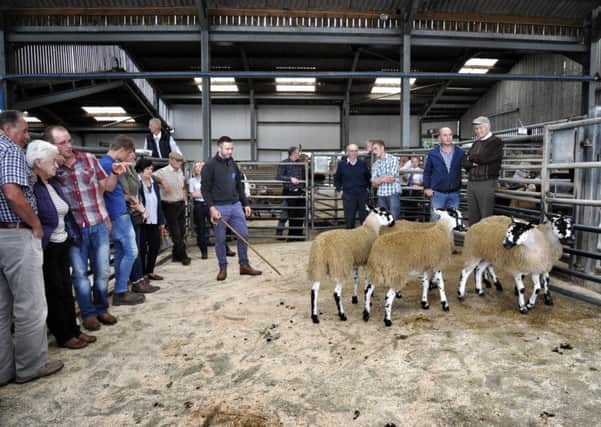 Picture by Julian Brown 01/09/18

Sheep judging

Bentham Show