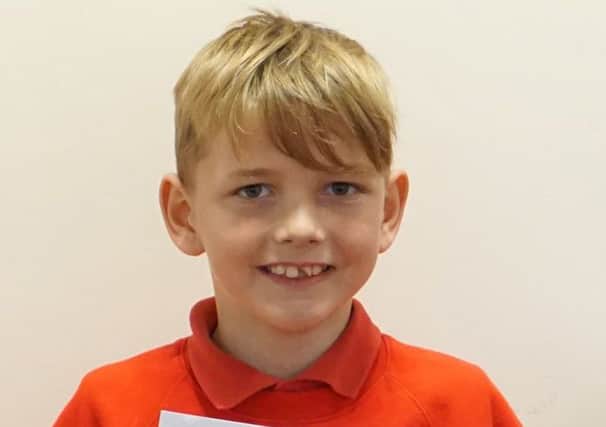 Ryelands pupil Leo Harrison, who won first prize in the Primary School category.