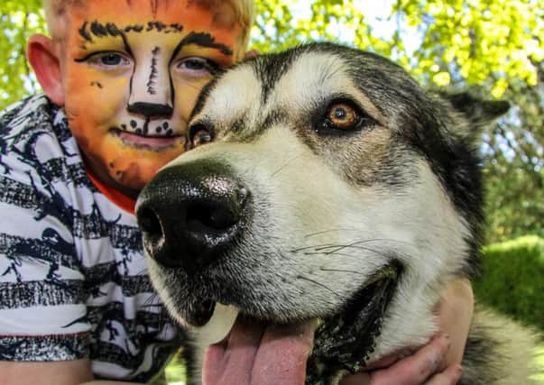 Jack Calland and his dog Nanook at Bark in The Park 2018.