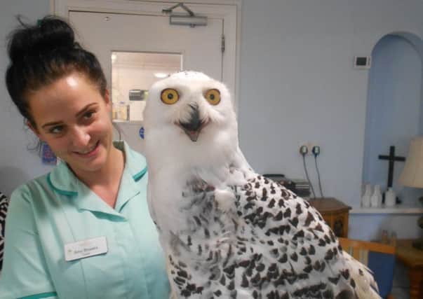 A member of staff at Laurel Bank care home with a snowy owl.