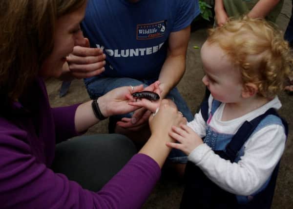 Get up close and personal with bugs at the Lakeland Wildlife Oasis.