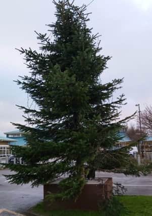 Lights were broken and branches torn in the attack on Morecambe's Christmas tree. Photo: Morecambe BID