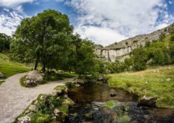 Iconic: Andy Merritt took this picture of Malham Cove, which features in the Yorkshire Dales Millennium Trust 2014 calendar