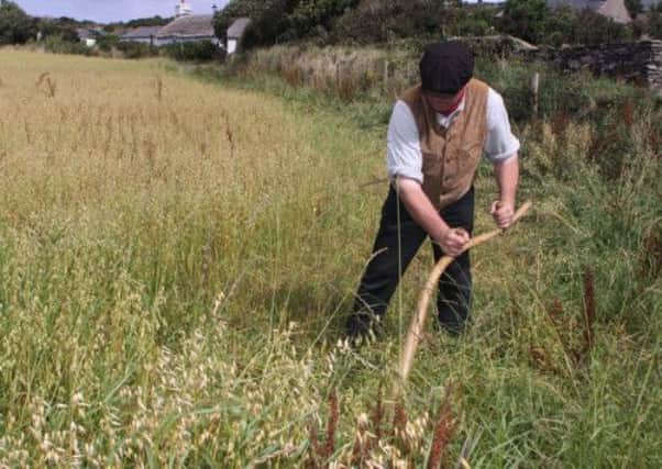 One man went to mow: Using a scythe is a traditional way of maintaining grassland.