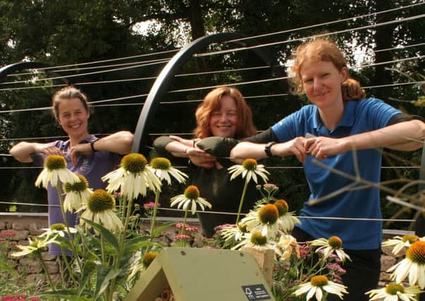 Passionate: From left, RSPB interns Ellie Ames, Adrienne King and Rachel Coyle in the sensory garden at the RSPB reserve at Leighton Moss, in Silverdale