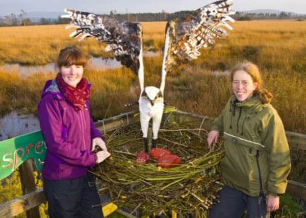 Nature Improvement Area Community Engagement Officer Tania Crockett (left) and artist Ro Thomas (right) with osprey sculpture. Pic: Marcus Pomfret.