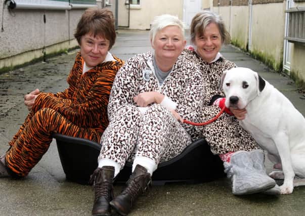 Save Our Snoopy Appeal at Animal Care in Scotforth, Lancaster. Three volunteers are staying in a kennel at Animal Care for 24 hours to raise money for Snoopy who needs an expensive operation. Pictured are Volunteers (from left to right) Kerry McKay, Karen Needham and Caroline Moorby with Snoopy.