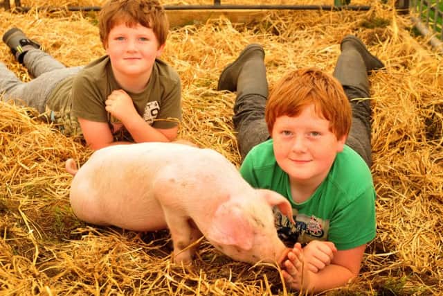 Oliver and Harry Holden with one of their piglets at the Royal Lancashire Show