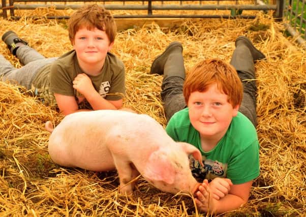Oliver and Harry Holden with one of their piglets at the Royal Lancashire Show