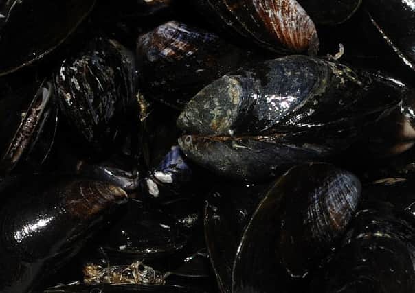 Mussel beds have reopened in Morecambe Bay.