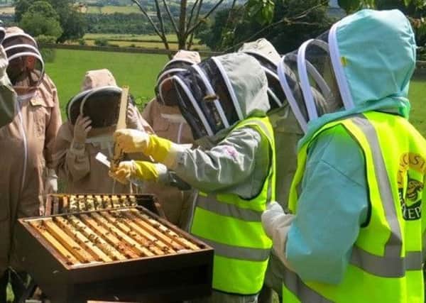 Lancaster Beekeepers - members getting to grips with one of the hives.