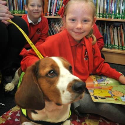 Julie Norris from Pets As Therapy (PAT) brings her dog Droopy into Trumacar Primary School in Heysham to help children with their reading.
Kelsey gives Droopy a cuddle.  PIC BY ROB LOCK
12-10-2015
