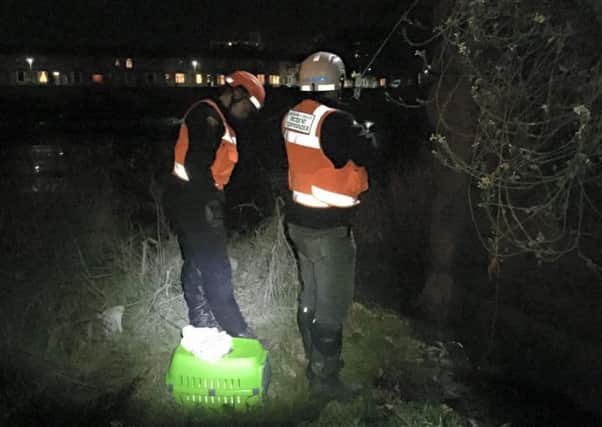 Bay Search and Rescue crews were called out by the RSPCA to rescue a stranded cat.