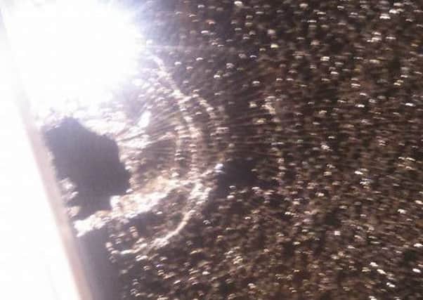 Picture taken by Lee Tommy Walkden on the bus where he claims that someone shot at him.