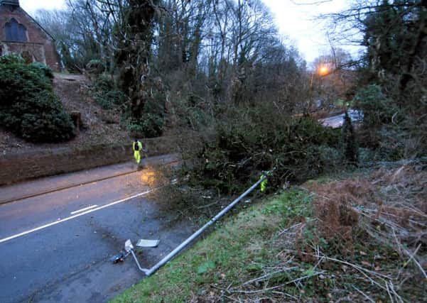 Fallen tree blocks Wigan Road