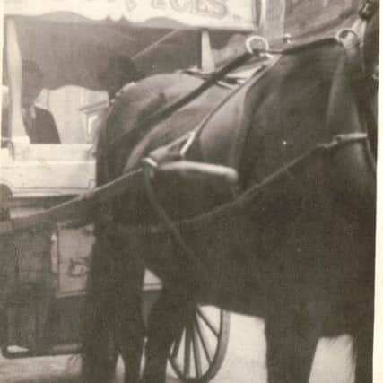 Tony Macari riding one of the family's traditional horse and carts.
