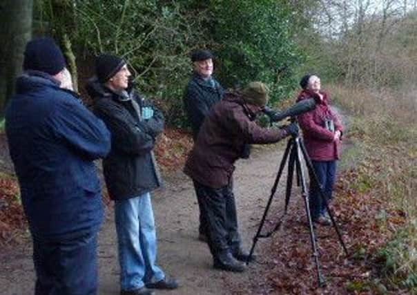 Birdwatchers in Fenham Carr, Williamson Park.
