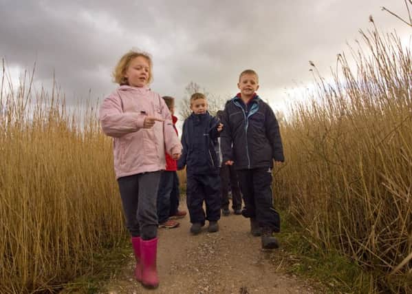 EYES PEELED: Children looking for bitterns in a reed bed at Leighton Moss RSPB Reserve