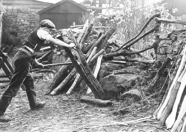 Wray was once home to the skilled craft of oak swill basket-making and here from the archives the gollowing passage details a visit to Mr John Singletons workshop at Wray by the Lancaster Gazette in 1932

Splitting Wood for Swill Basket Making, circa 1932. John Singleton the Third is pictured here splitting taw oak in a clearing break, which was set in a special hole in the cobbles.
