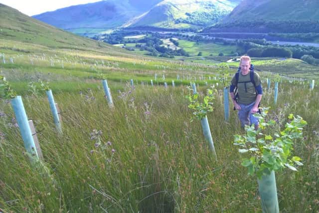 Peter Leeson with the new saplings on Tebay Common