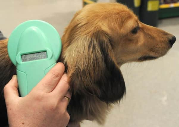 From April 6th, all dogs in England, Scotland and Wales will have to be microchipped.